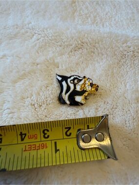 Black and Gold Skunk Enamel Pin for Small Pets Fans